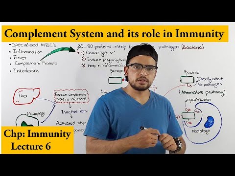Complement System An immune response of Innate Immunity